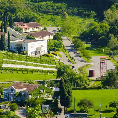 Hotel Villa Michelon 本图贡萨尔维斯 外观 照片
